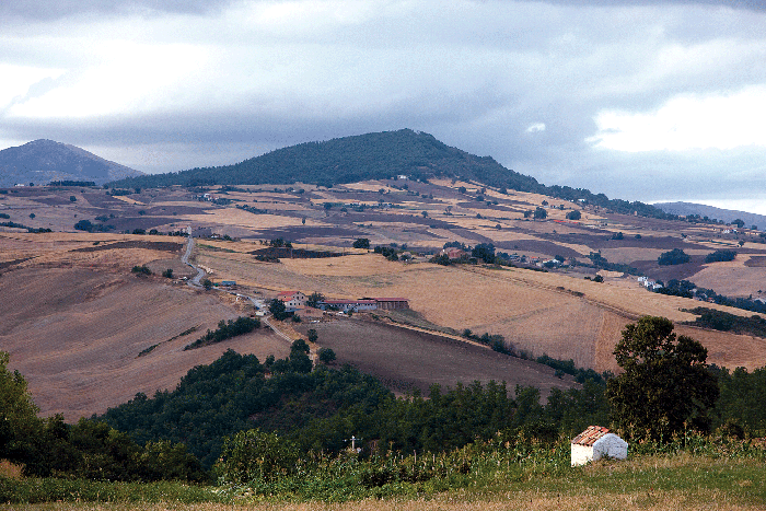 Italy countryside art print